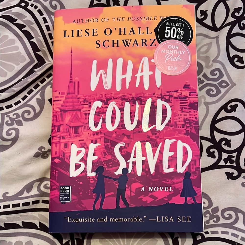 What Could Be Saved Novel